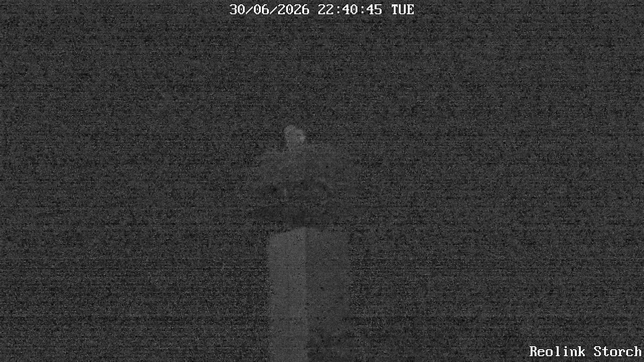Storchencam Bild