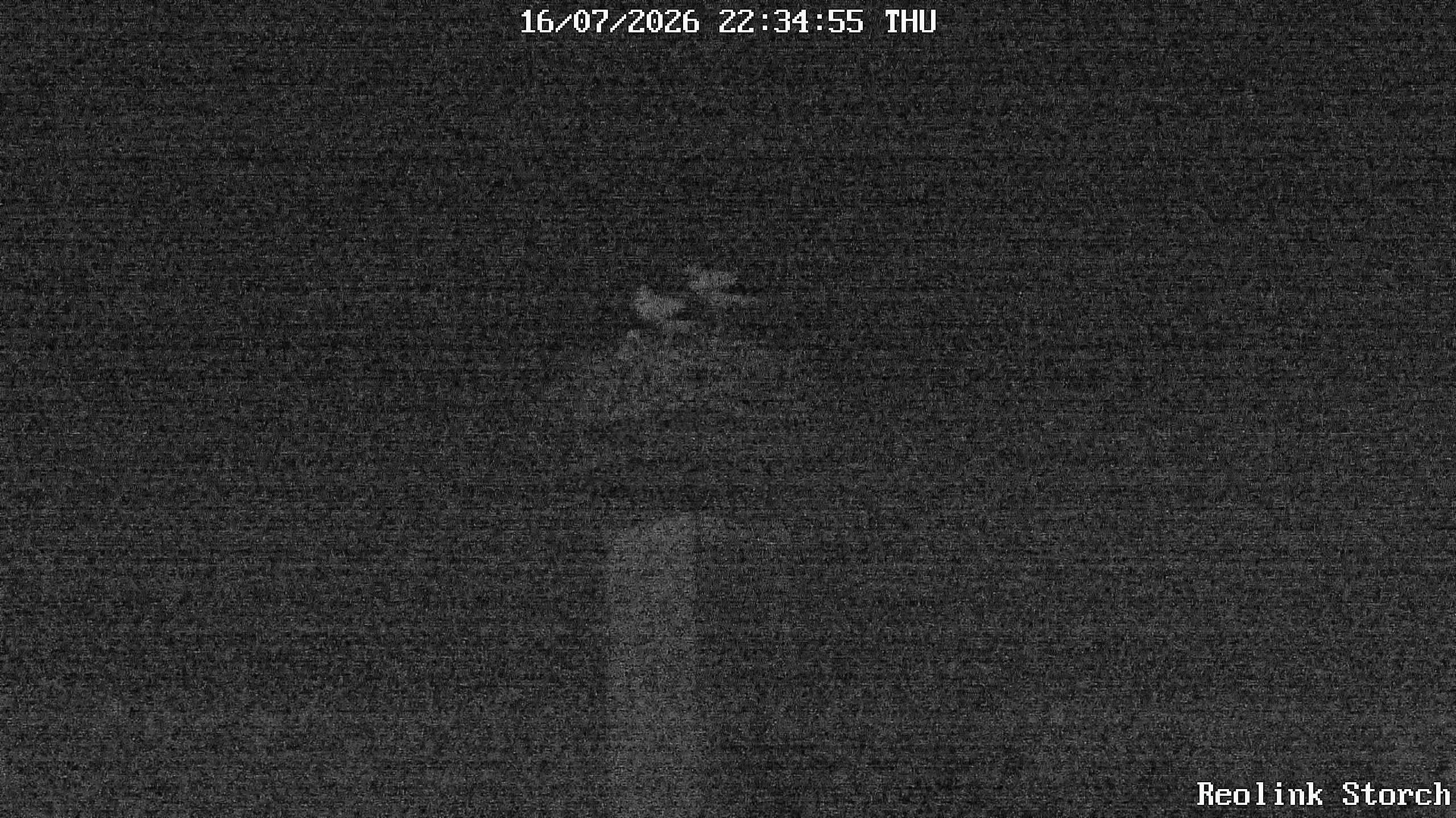 Storchencam Bild