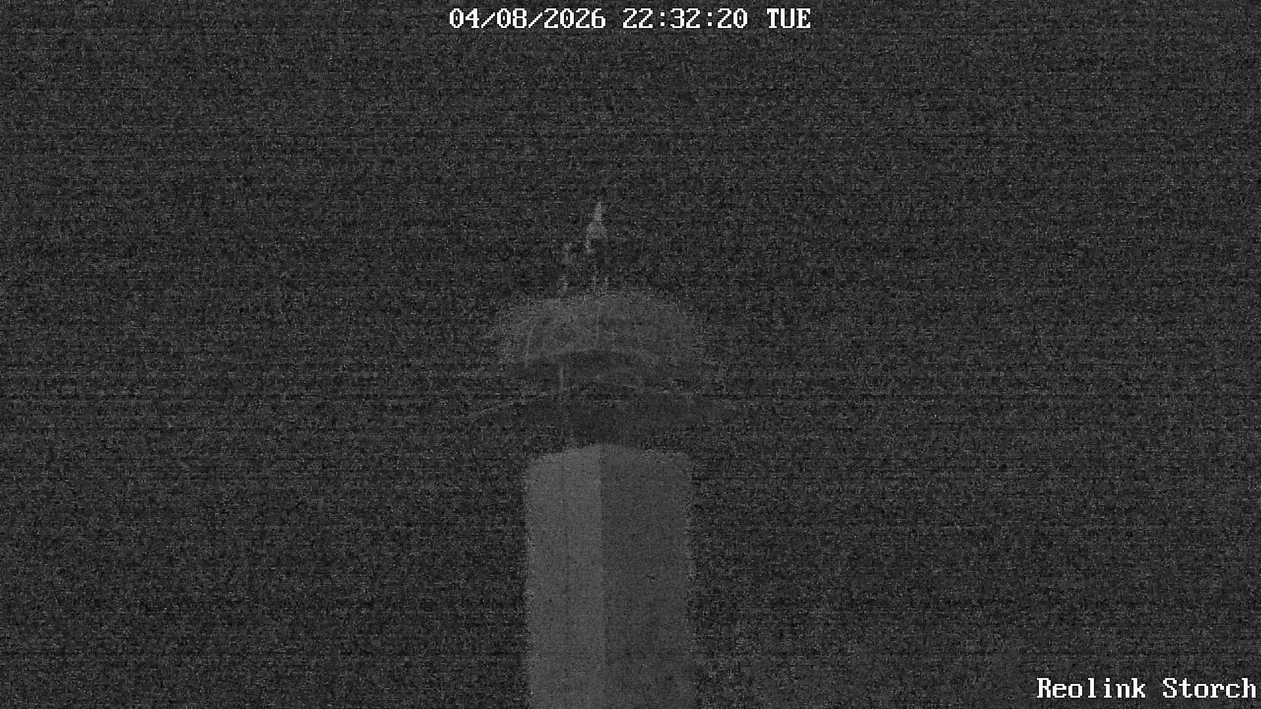 Storchencam Bild