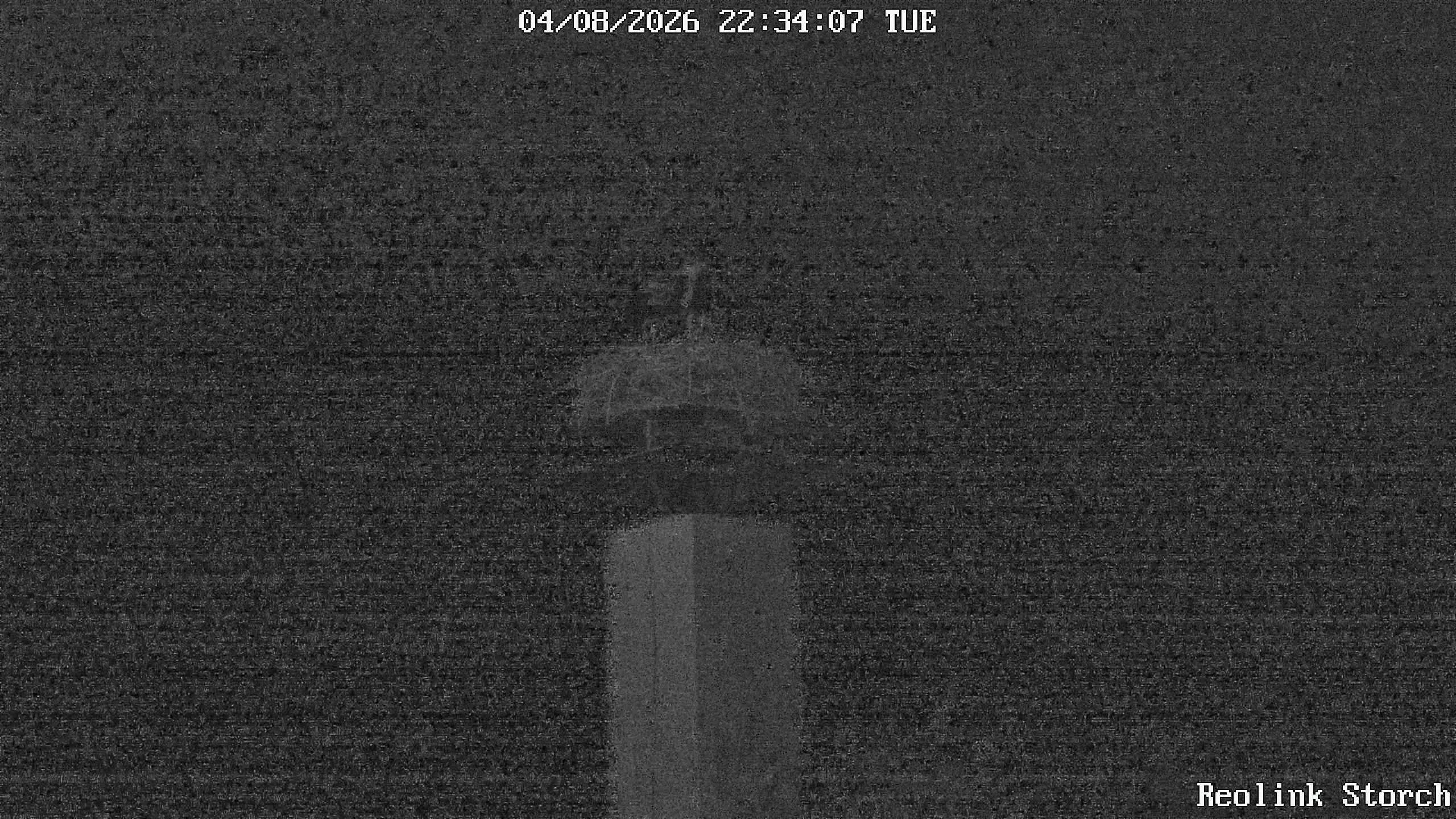 Storchencam Bild