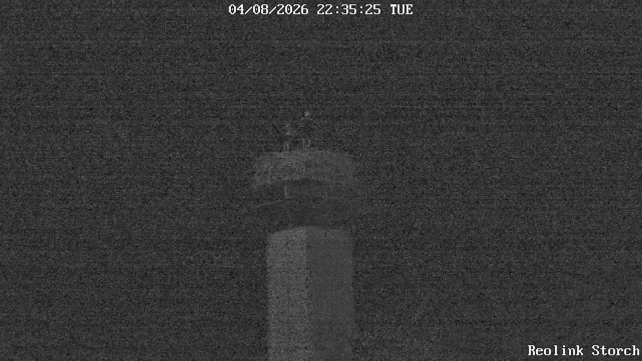 Storchencam Bild