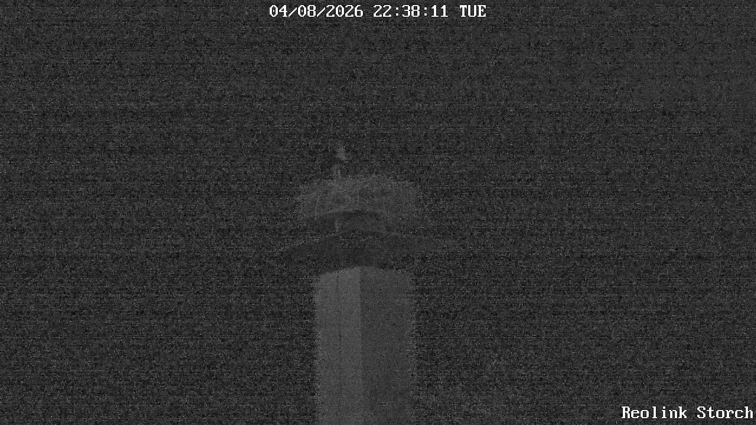Storchencam Bild