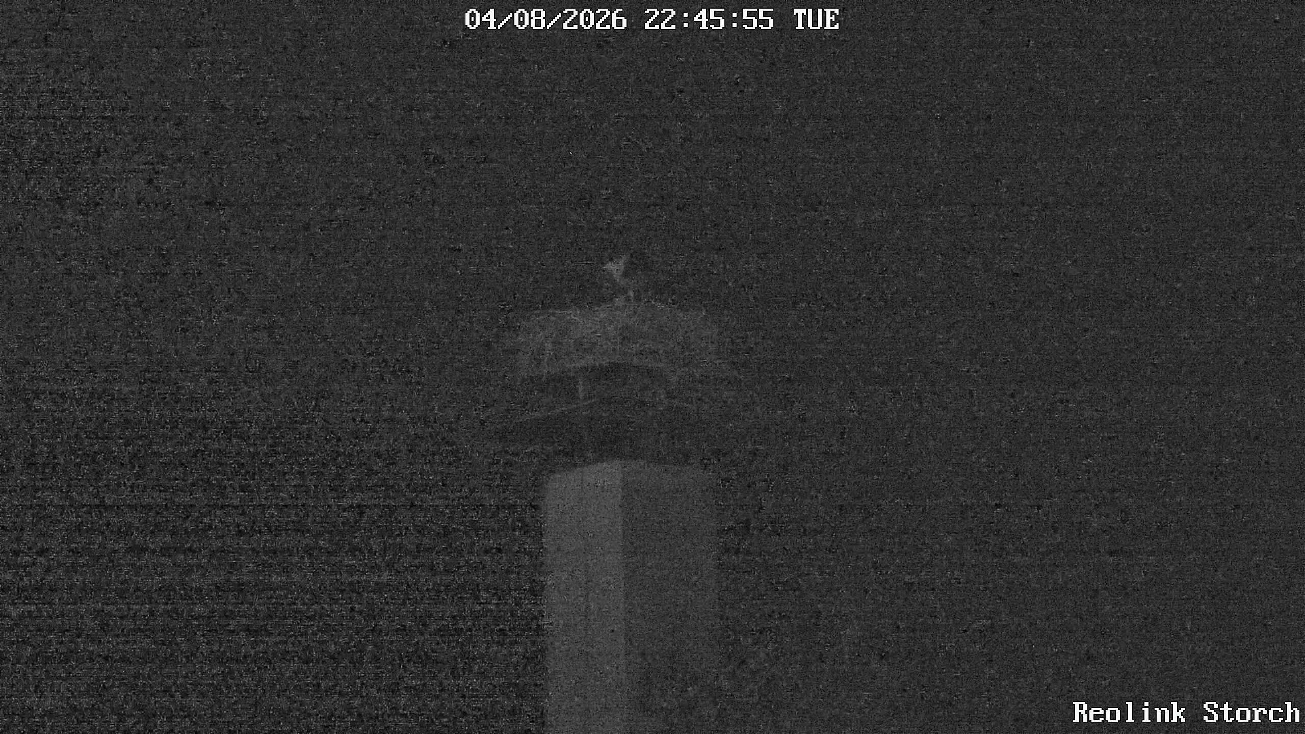 Storchencam Bild