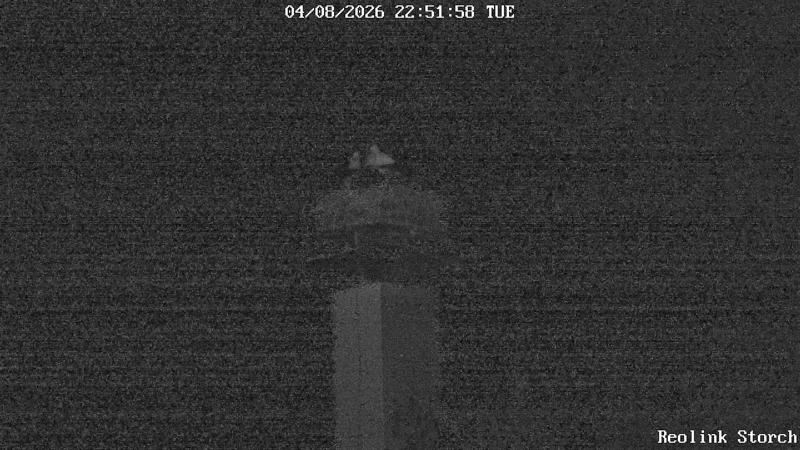 Storchencam Bild