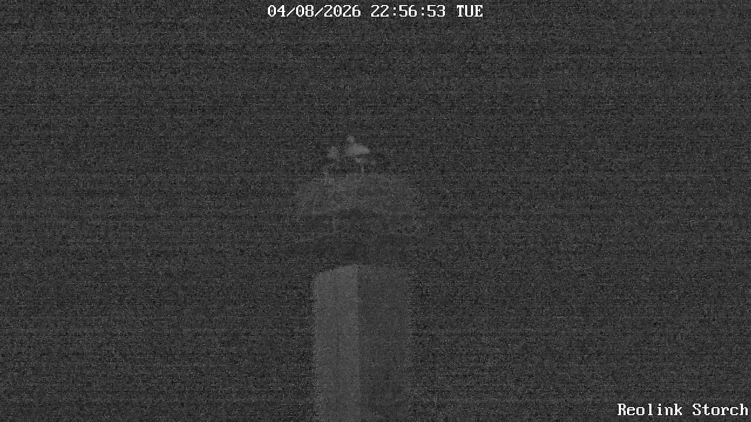 Storchencam Bild