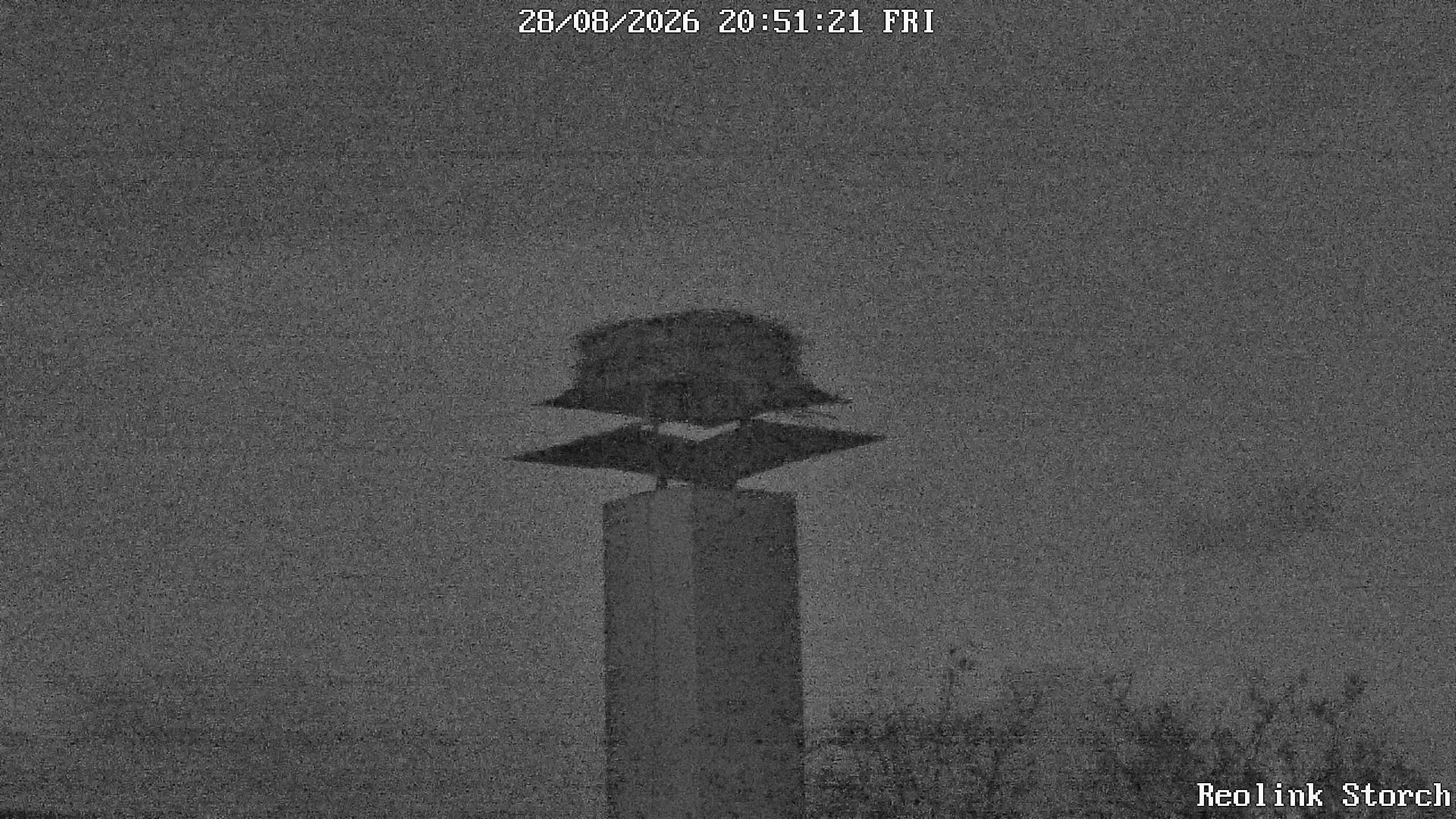 Storchencam Bild
