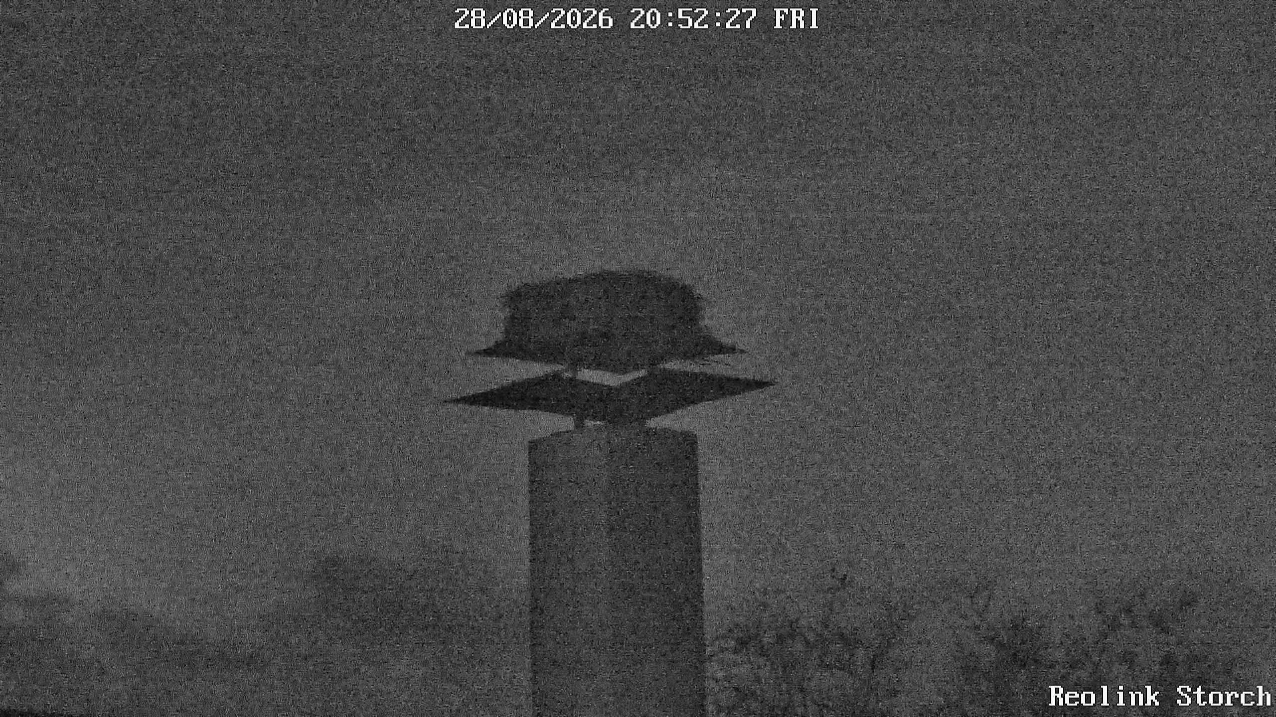 Storchencam Bild