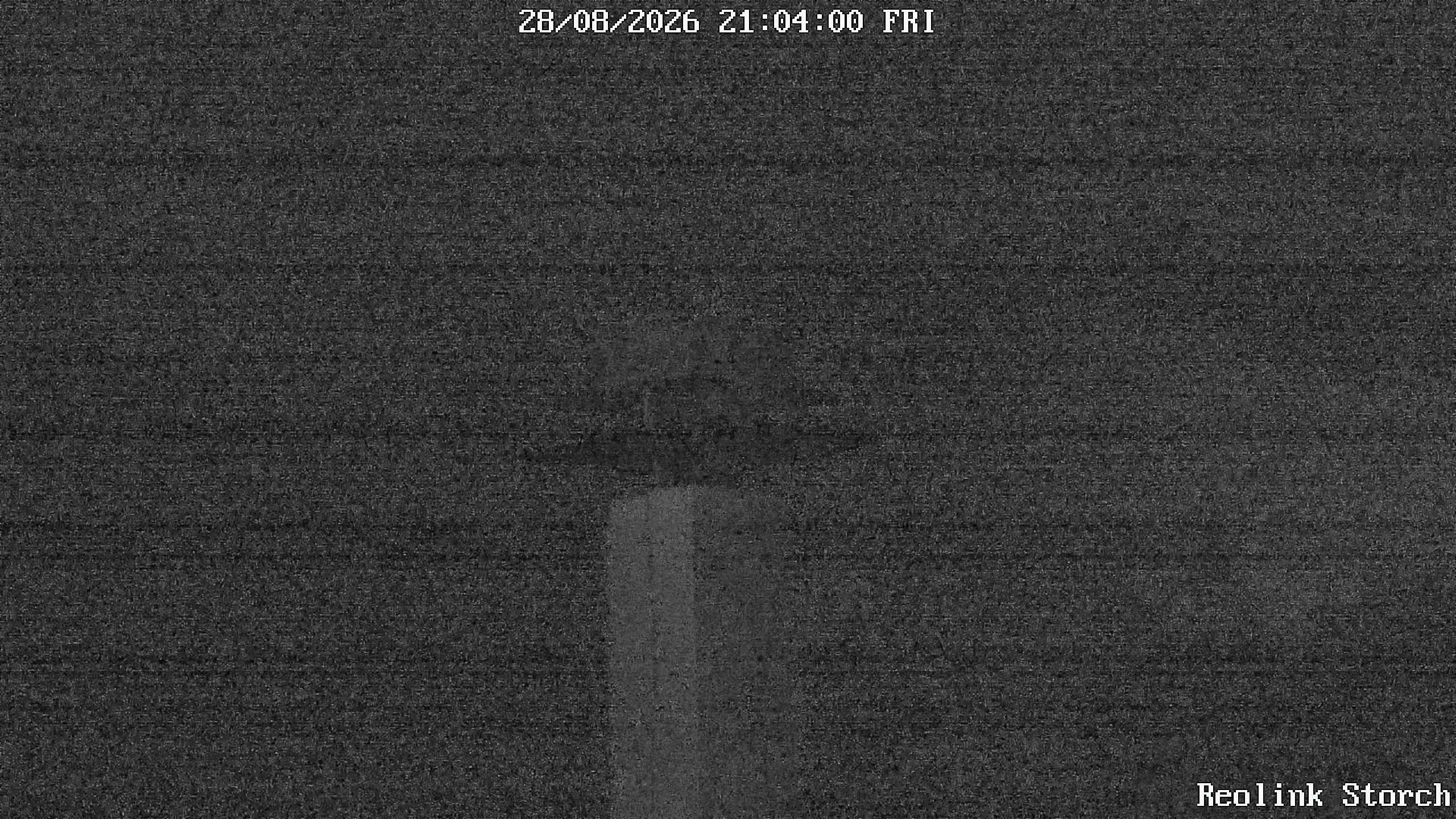 Storchencam Bild