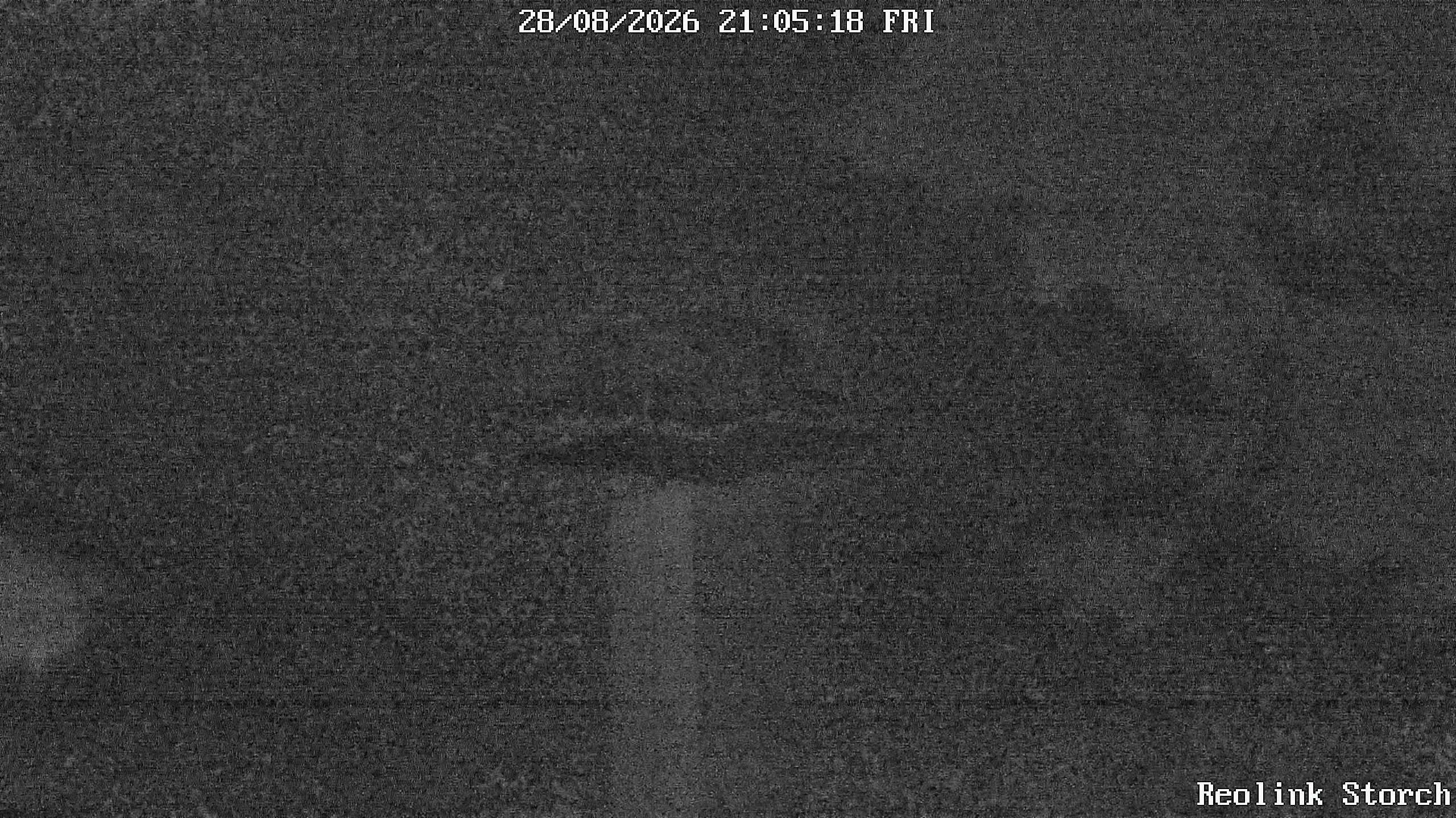Storchencam Bild
