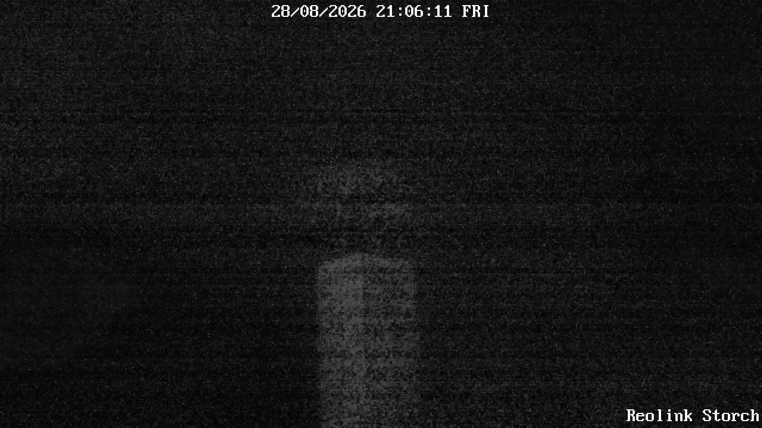 Storchencam Bild