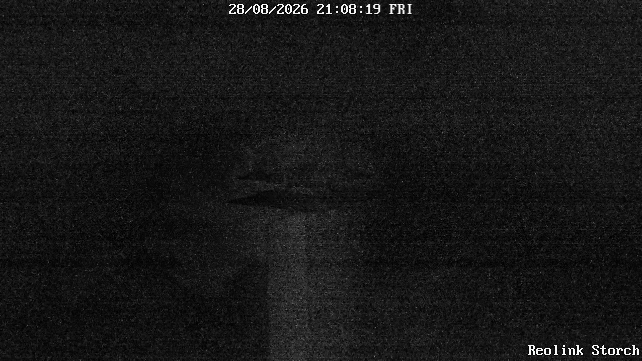 Storchencam Bild