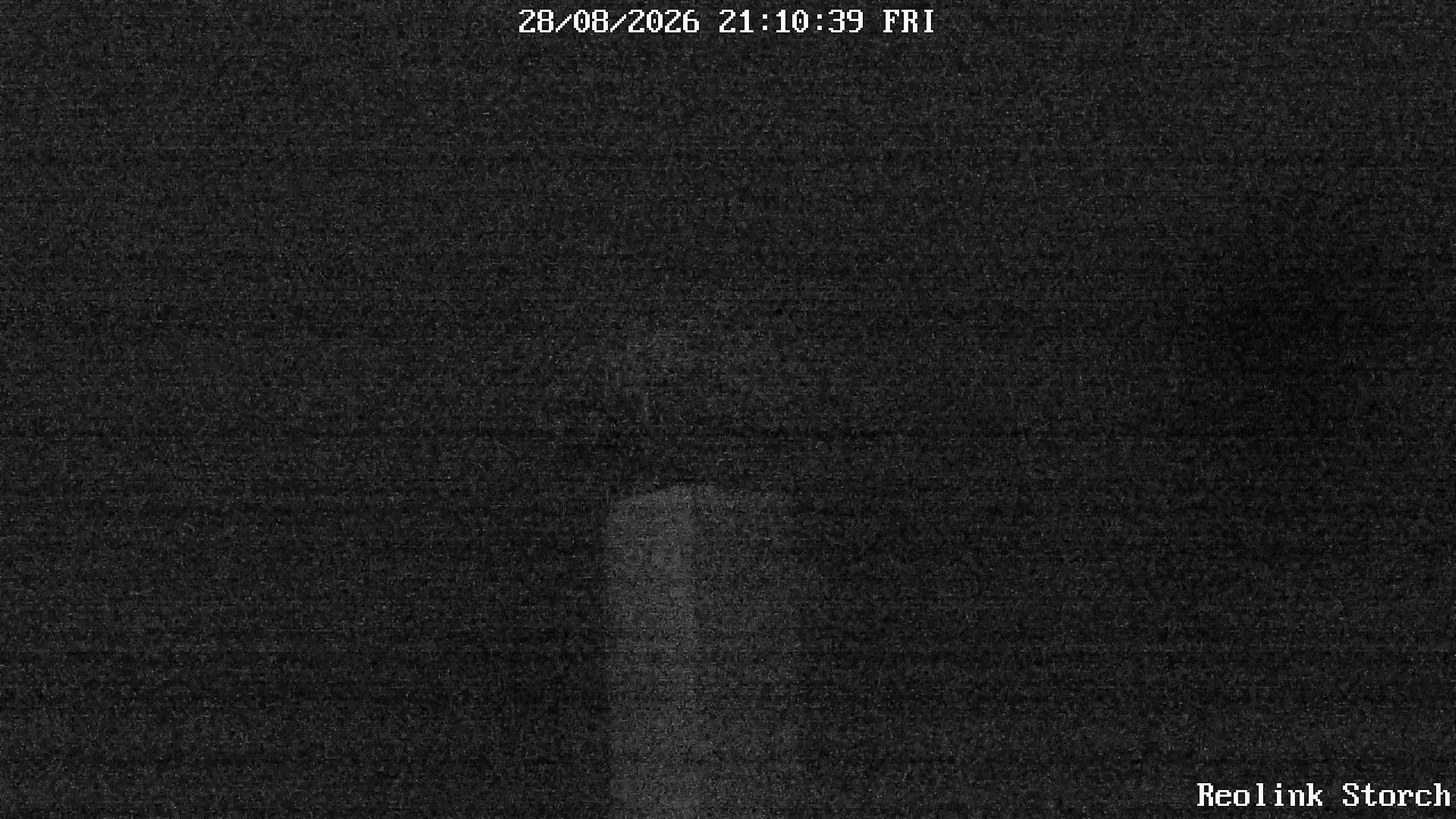 Storchencam Bild