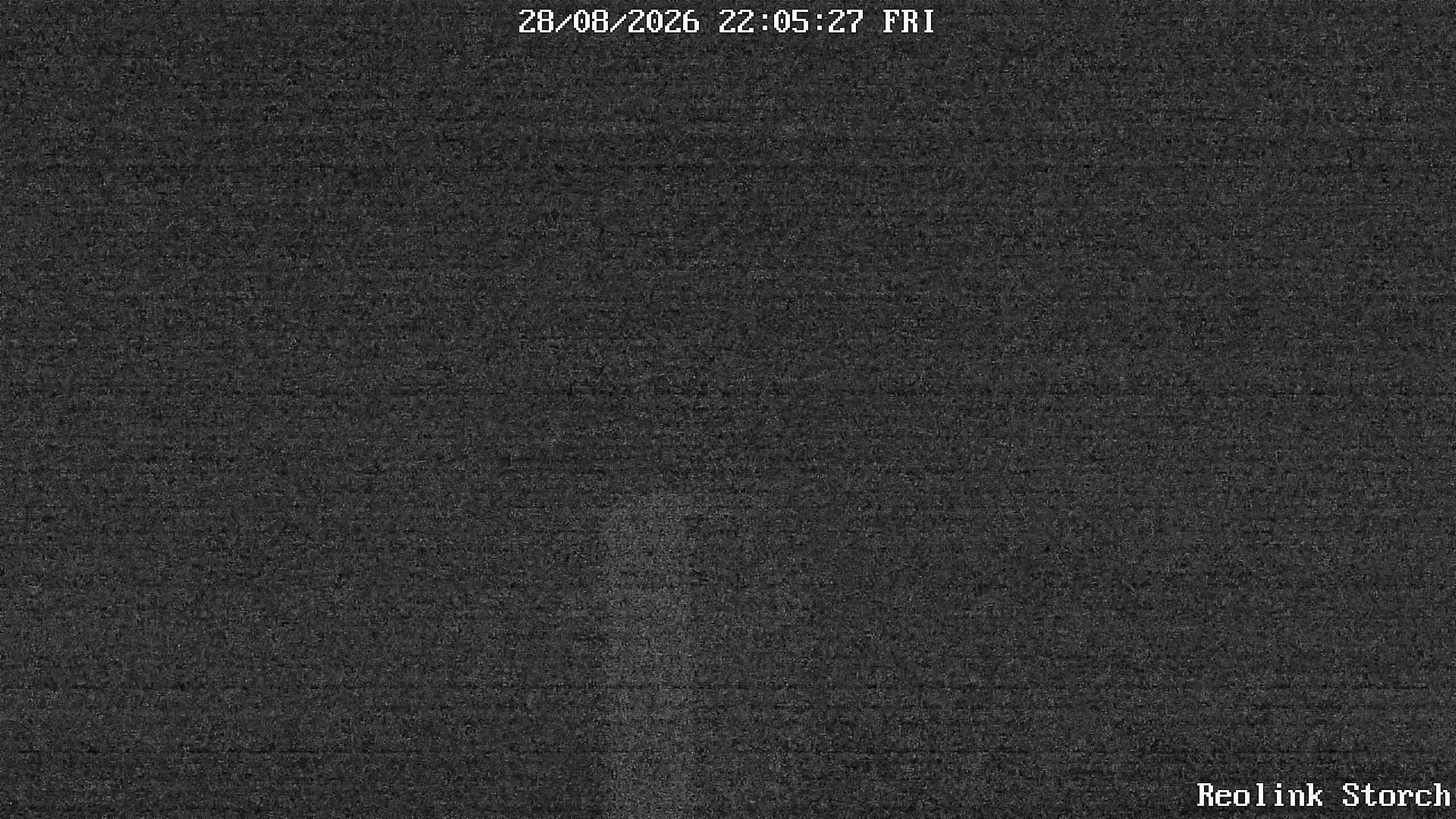 Storchencam Bild