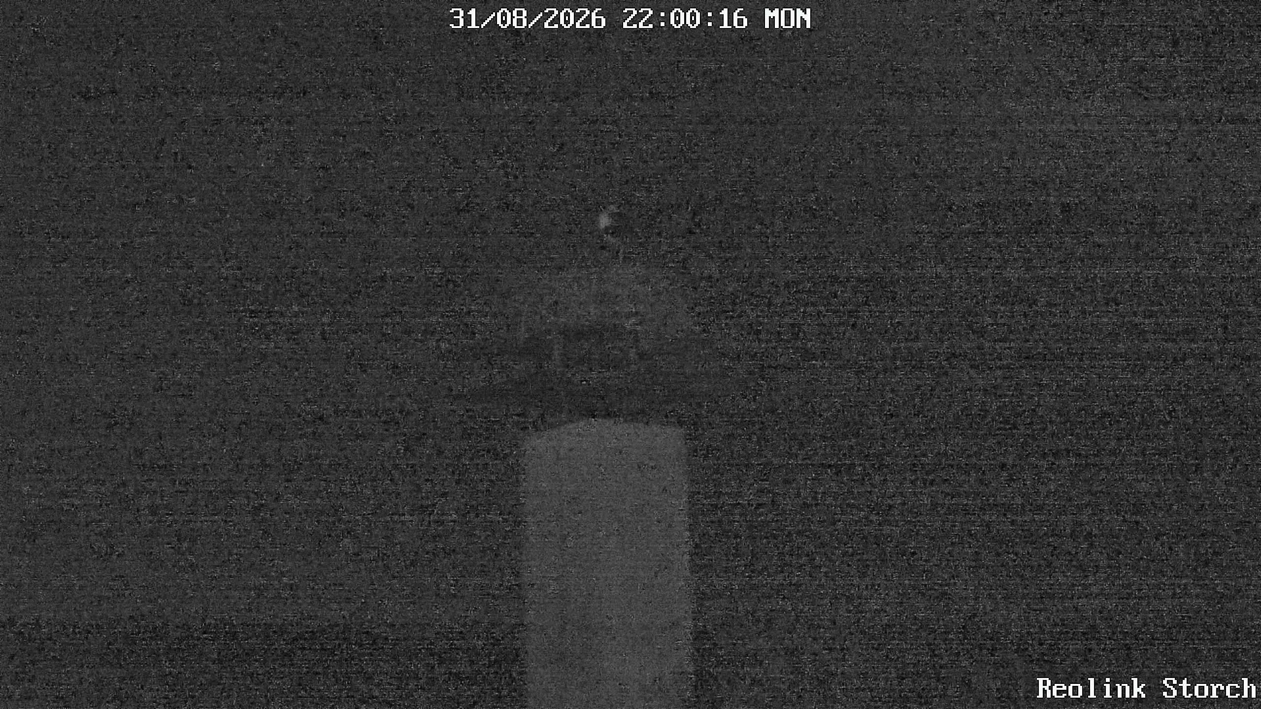 Storchencam Bild