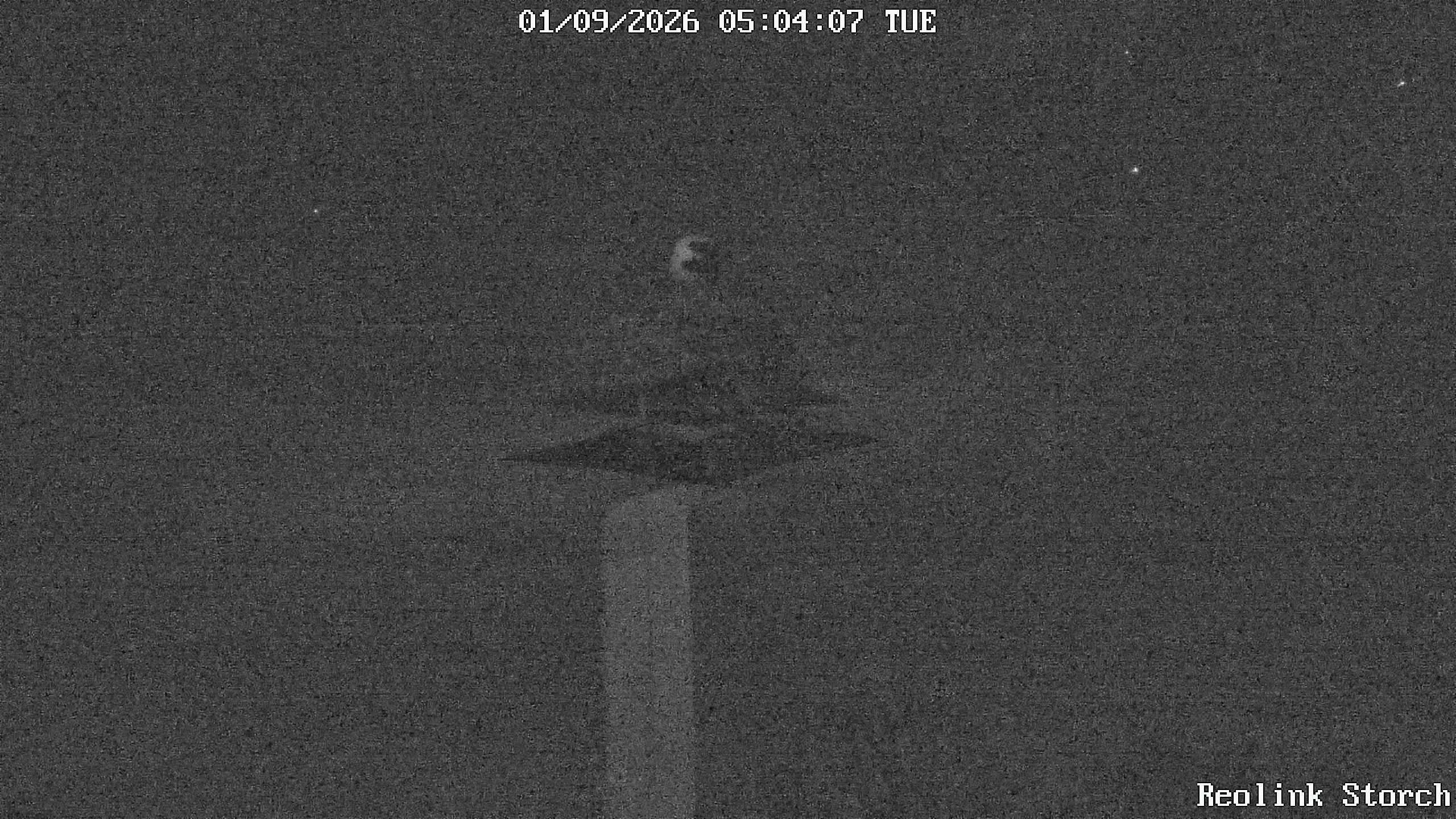 Storchencam Bild