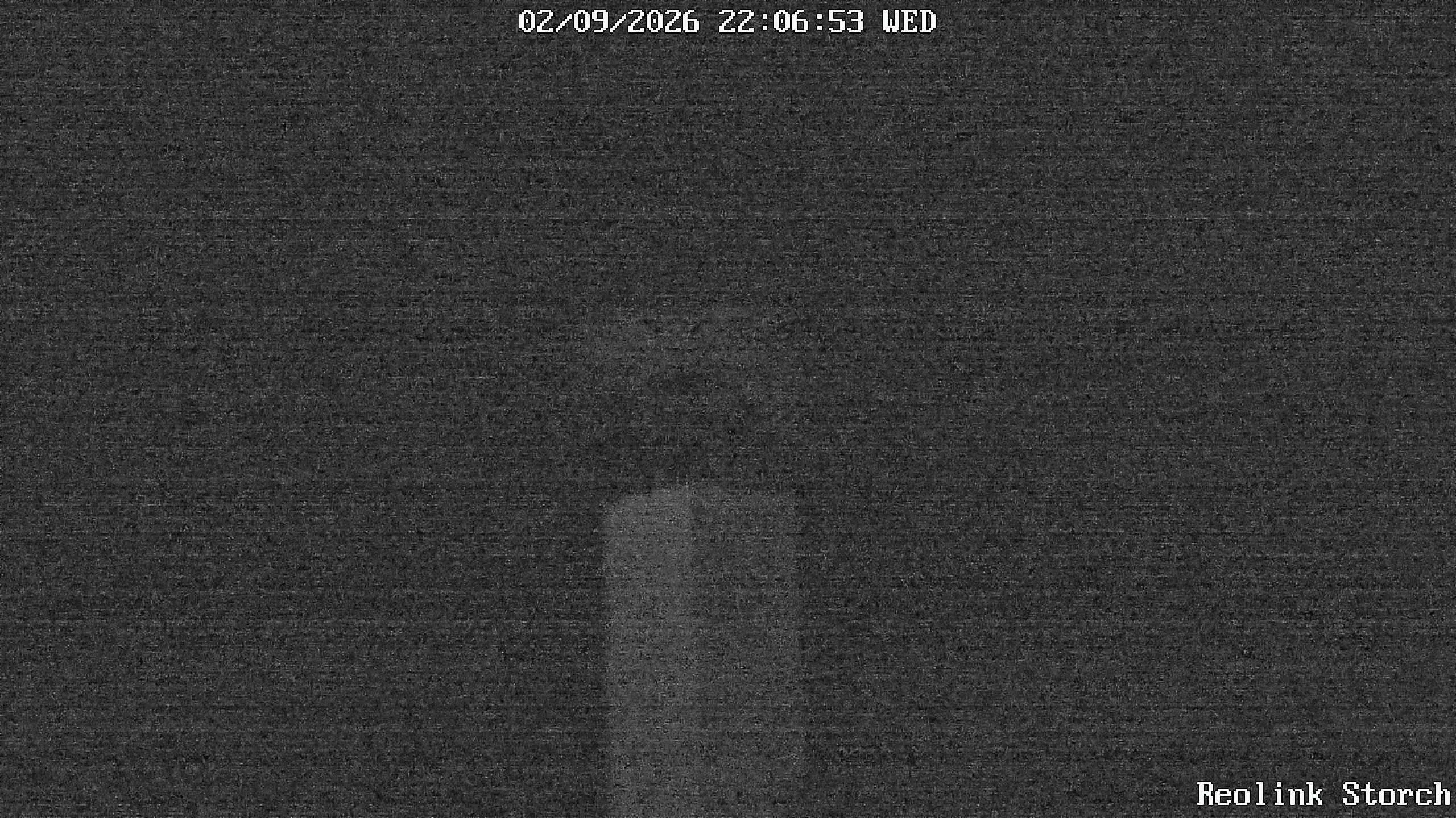 Storchencam Bild